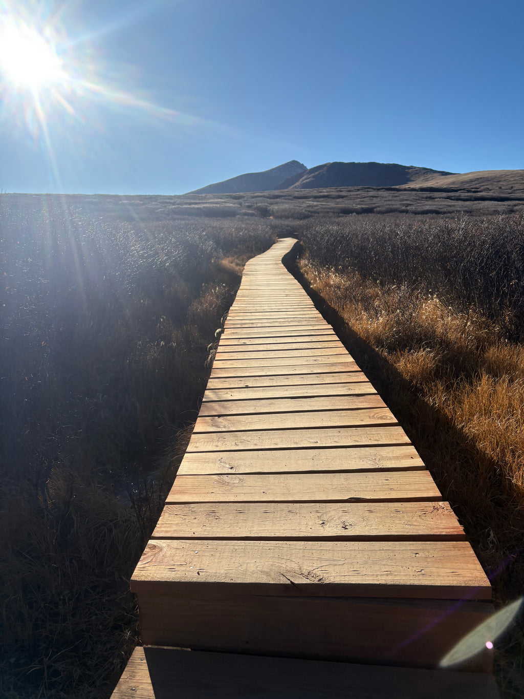 Still Standing: When Abuse Doesn’t End After You Leave